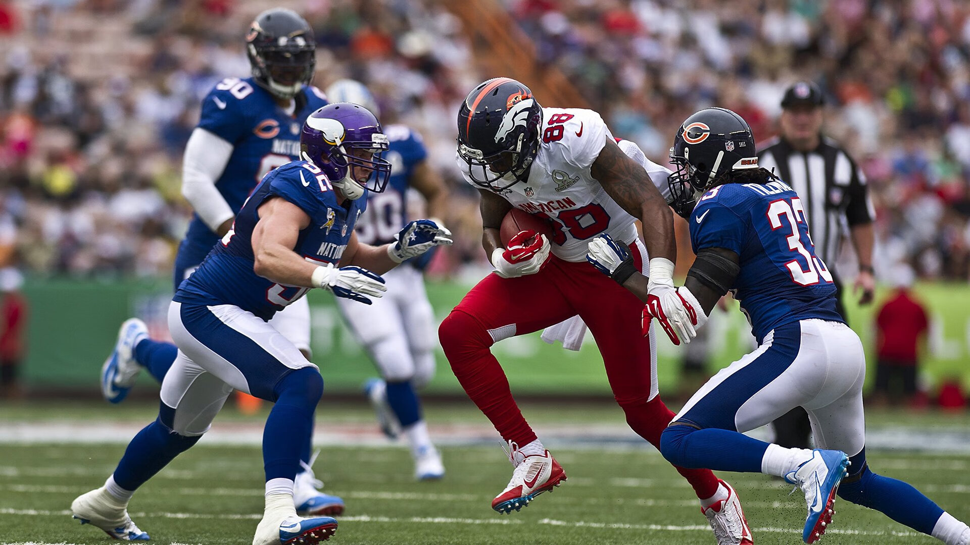 开云体育-莱德基：泳池中的传奇延续，莱德基2021